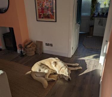 Musselburgh House | Room for Dogs lovers