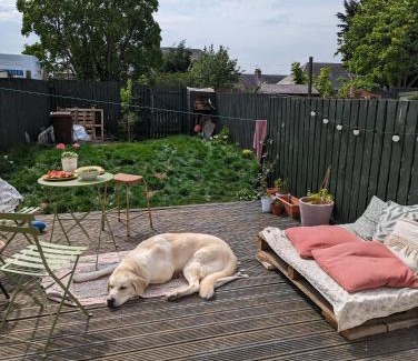 Musselburgh House | Room for Dogs lovers