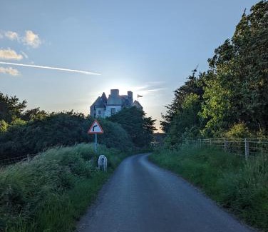 Musselburgh House | Room for Dogs lovers