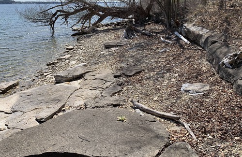 Elizabethtown-Kitley House | Room for two on mighty St. Lawrence River with 75 ft of water front.