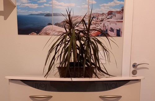 Ubatuba House | Room in a family home on the beach route, in a great location