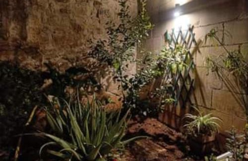 Mosta House | Room in Ain Karem - A Maltese Traditional Townhouse