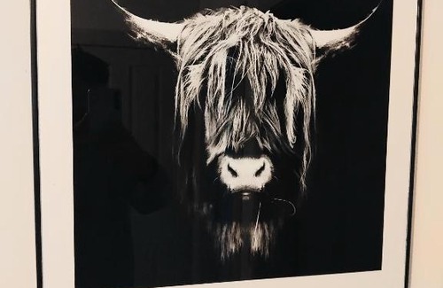 Cromarty Firth House | Room in bungalow