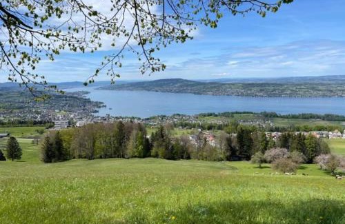 Feusisberg House | Room in Homestay with amazing view of lake - Zimmer in einer Gastfamilie mit herrlichem Blick auf den See