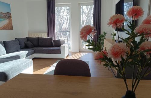 Sopron Apartment | Room in the city 2