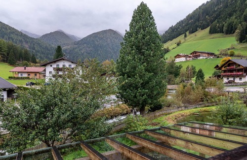 Rio Bianco Apartment | Room 'Naturidyll Mitterbach 11' with Mountain View, Shared Garden and Wi-Fi