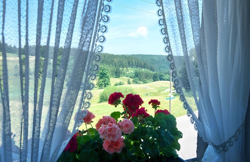 Grafenhausen Apartment | Room 'Nr 4' with Mountain View, Shared Garden and Wi-Fi