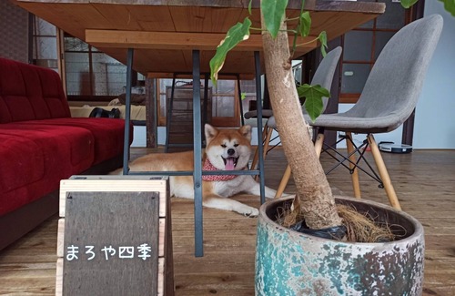 Ozu House | room only /Ozu Ehime