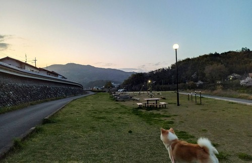 Ozu House | room only /Ozu Ehime