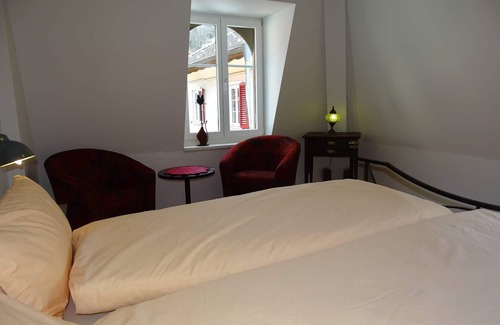 Gersau House | Room-organic BnB Froschkoenig "chaiserst