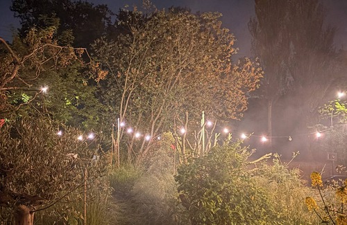 Palaiseau Bed & Breakfast | Room overlooking the garden in a shared apartment in a house undergoing eco-renovation