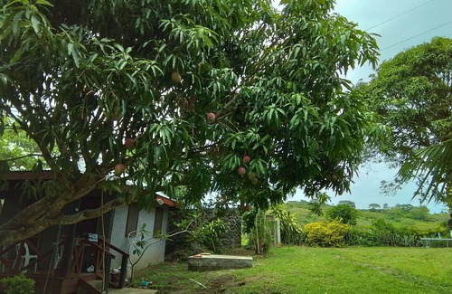 Ba House | Room-private Villa in Tonge, Fiji