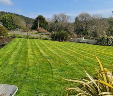 County Cork House | Room Stay