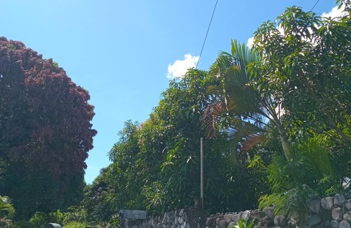 Ba House | Room-tropical Oasis in Tonge, Fiji - Rel