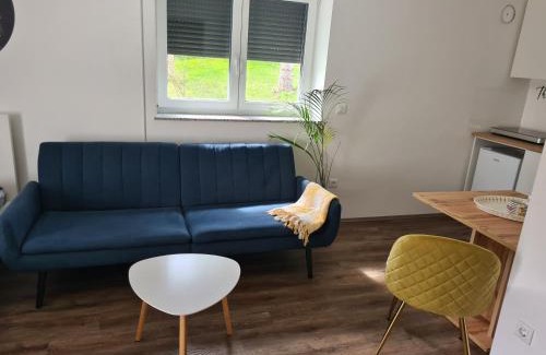 Ptuj Apartment | Rooms and apartments Vili