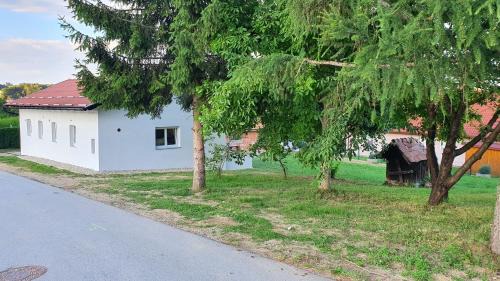 Ptuj Apartment | Rooms and apartments Vili
