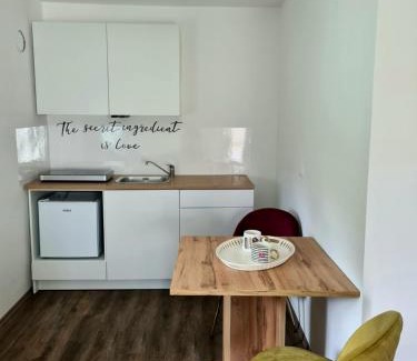 Ptuj Apartment | Rooms and apartments Vili