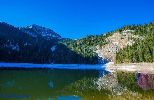Pitomine Apartment | Rooms & Apartments Durmitor