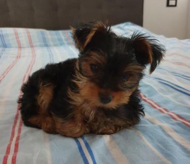 Seca House | Rooms & Apartments Giulia