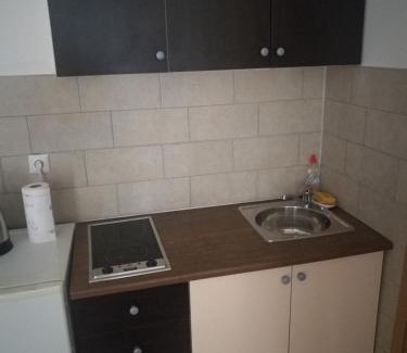 Slavonski Brod House | Rooms Aračić