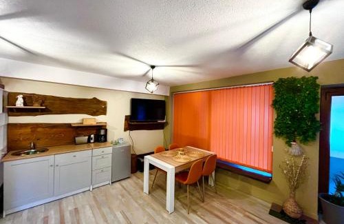 Borovets Apartment | Roots Apartment 2