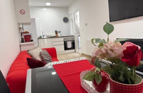 Pozuelo de Alarcon Apartment | Rosa Rooms, Habitación con baño privado