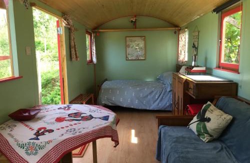 Pedrogao Grande House | Rosa the Cosy Cabin - Gypsy Wagon - Shepherds Hut, RIVER VIEWS Off-grid eco living