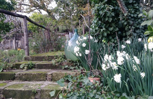 Torchiara Bed & Breakfast | ROSACANINA B & B