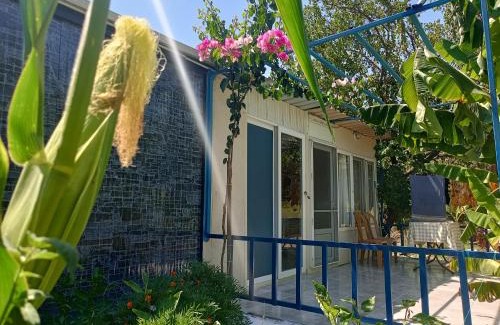 Sarigerme Apartment | Rose Apart
