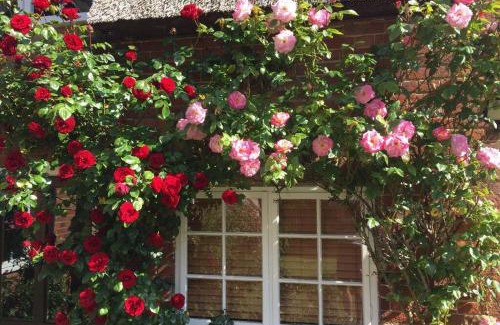 Ludham House | Rose Cottage