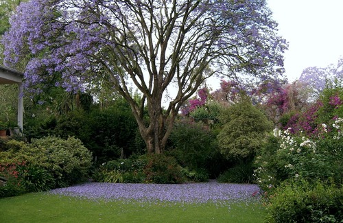 Parkview Cottage | Rose Cottage in a gorgeous garden