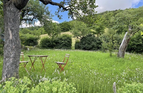 Adelshofen Apartment | Rose Cottage in the romantic Tauber Valley