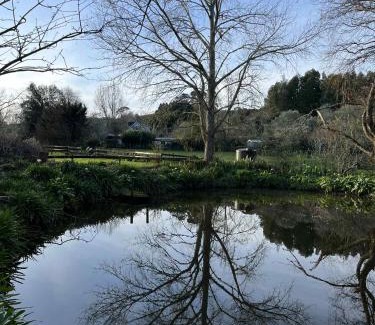 Clevedon Bed & Breakfast | Rose Cottage