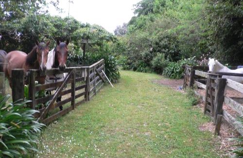 Clevedon Bed & Breakfast | Rose Cottage