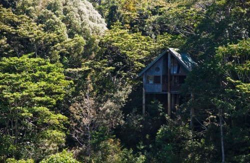 Lake Eacham Cabin | Rose Gums Wilderness Retreat