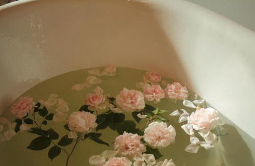 Dobroszyce Bed & Breakfast | Rose Residence