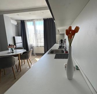 g.k. Strelbishte Apartment | Rose's apartment - South park, Free Parking, Mountain View, self check-in, close to metro, stores, family-friendly