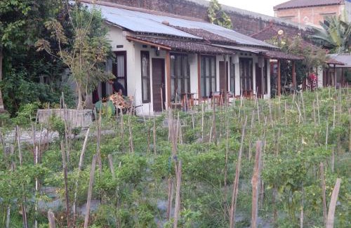 Sleman Resort | Rosella Cottages - Homestay - Yogyakarta
