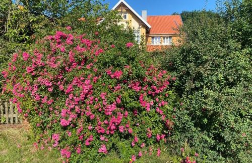 Vethem Apartment | Roseneck am Neulandhof Spöring