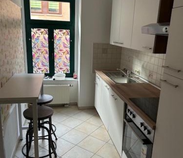 Sangerhausen Apartment | RosenSuite SGH
