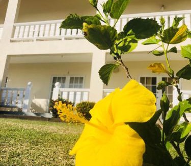 Villa Hotel | Rosewood Apartment Hotel