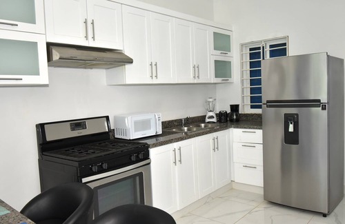 El Pueblito Apartment | Rosil Place, Beach Apt #8 with Rooftop Picuzzi