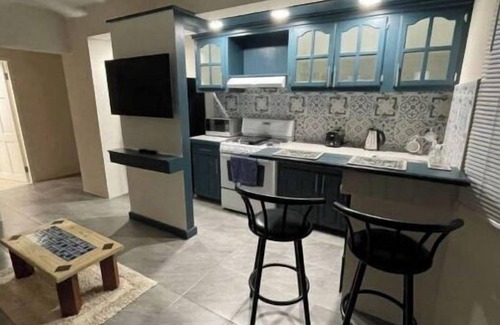 Haggatt Hall Apartment | Ross university US embassy 7 min drive available from 1st of October long term