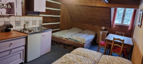 Destne Apartment | Roubenka Mlýn u skály Deštné v Orlických horách volné termíny 5 bytů