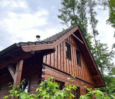 Dolni Laz House | Roubenka u dědy