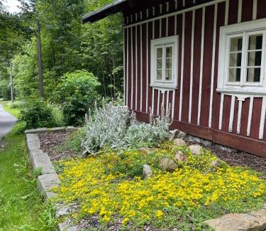 Desna Ski Chalet | Roubenka u potoka Jizerské hory