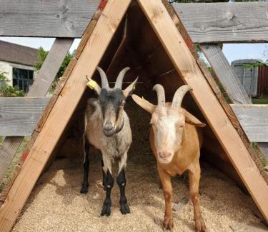 Beaumont-du-Perigord House | Rouge Tanin Cottage Private Spa Nature & Authentic Charm on a Dordogne