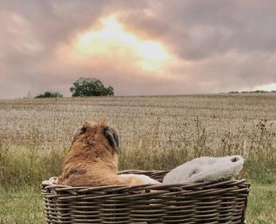 Chatillon-sur-Marne Bed & Breakfast | Roulotte panoramique du Moulin