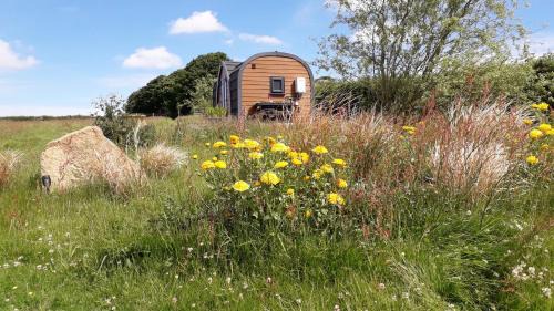 Laneast Apartment | Rowan Eco Cabin - Sleeps 2 - Valley View