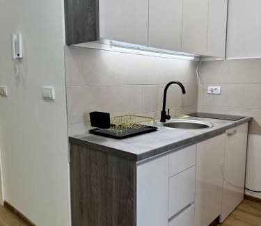 Paracin Apartment | Royal Apartmani 2